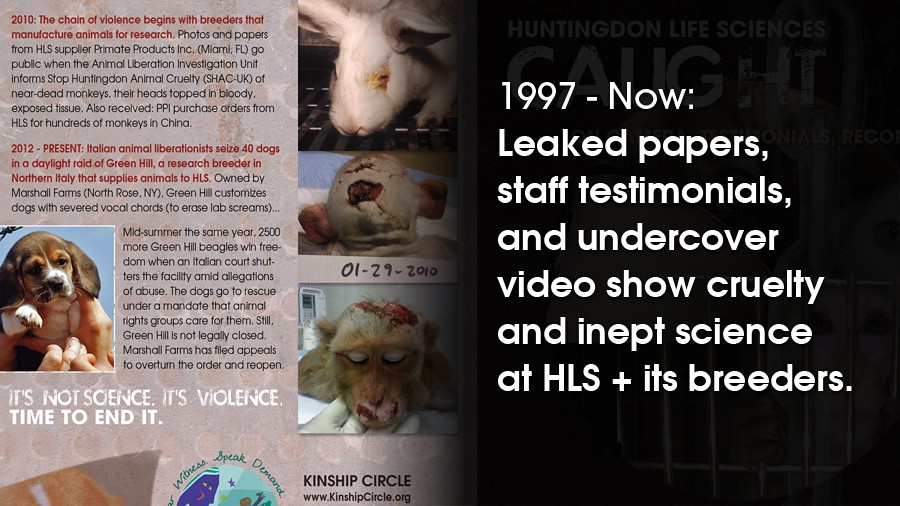 44_hls-animal-testing