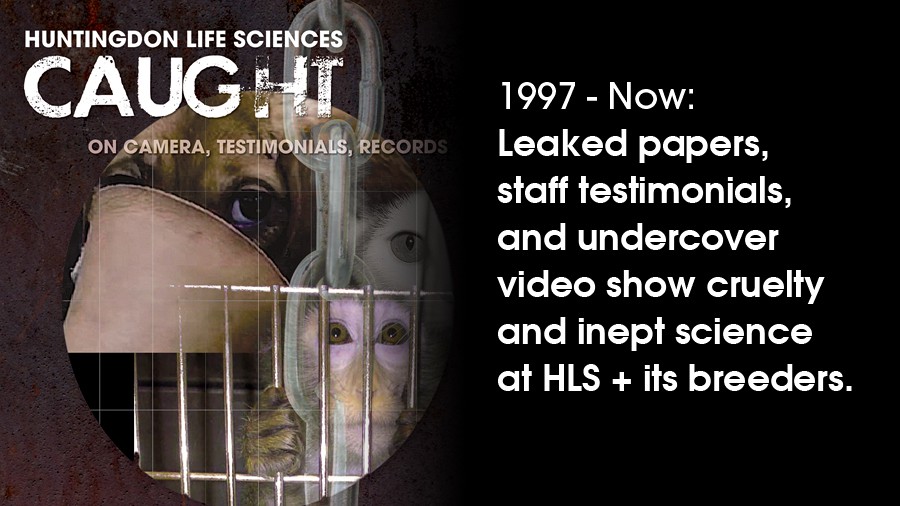 45_hls-animal-testing