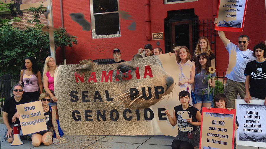 72_namibiasealkillprotestdc