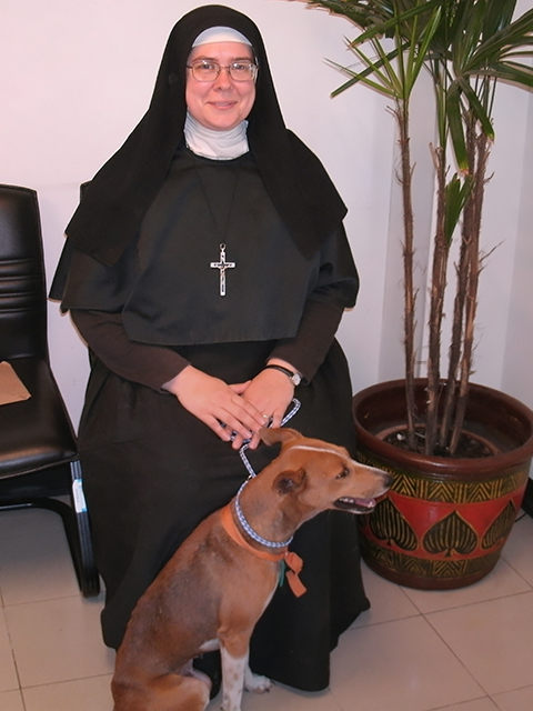 Sister Michael returns to Bangkok to wind down disaster ops and take Mabel to government offices for her export papers. (c) Kinship Circle, Thailand Floods