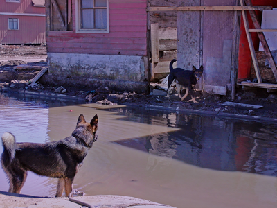 5_Chile Quake