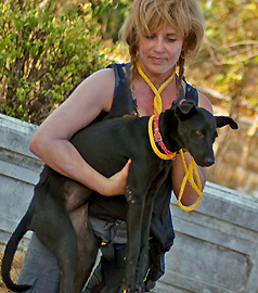 Kinship Circle director Brenda Shoss lifts an injured black dog the team brings back to the Bangkok disaster shelter during Thailand floods