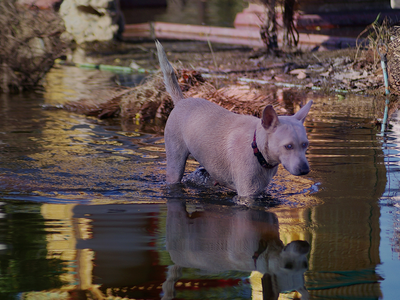 3_Thailand Floods