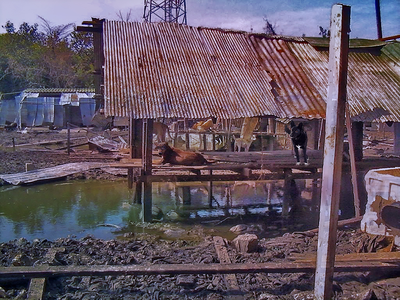 2_Thailand Floods