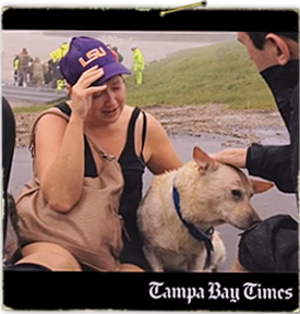 ramona talks to press, with one of her dogs Lucky, after she and her son are saved from rooftop, robert and 21 animals still in flooded home