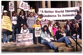 Protesters gather outside a PA courthouse to demand justice for Tammy Grimes, who was arrested after she rescued a dying chained dog 293x193