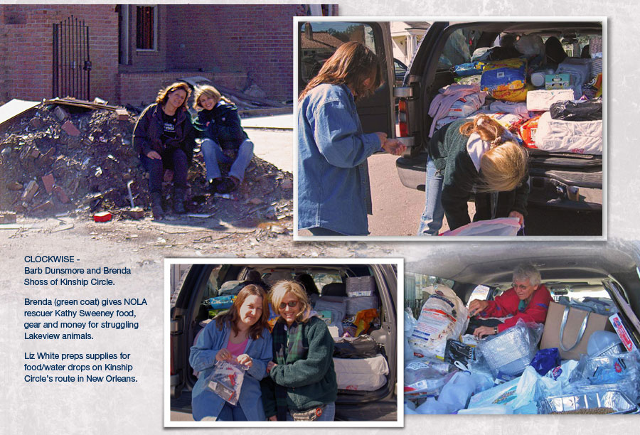 Brenda Shoss, Kathy Sweeney, Barb Dunsmore 900x612