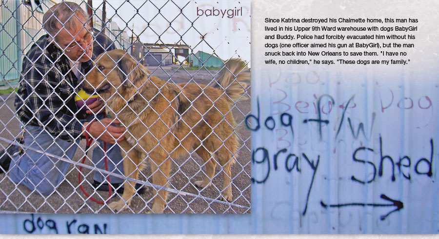 Man with Babygirl, one of two dogs he snuck back into New Orleans to save after police threatened to shoot the dog if he did not evacuate without her 900x490