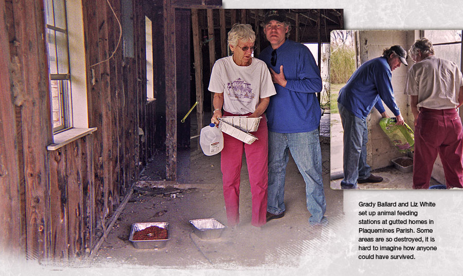 Grady Ballard and Liz White set up animal feeding stations at gutted homes in Plaquemines Parish 900x536