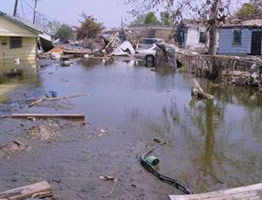 Two basset hounds were living off the remains of a dead child locked in her bedroom of a second floor apartment 262x200