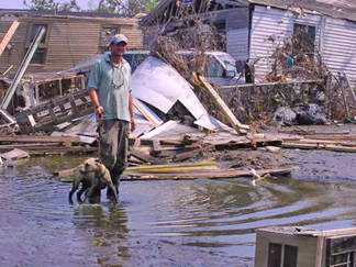 This pup walks on the ground for the first time in weeks since rescued after Hurricane Katrina 324x243