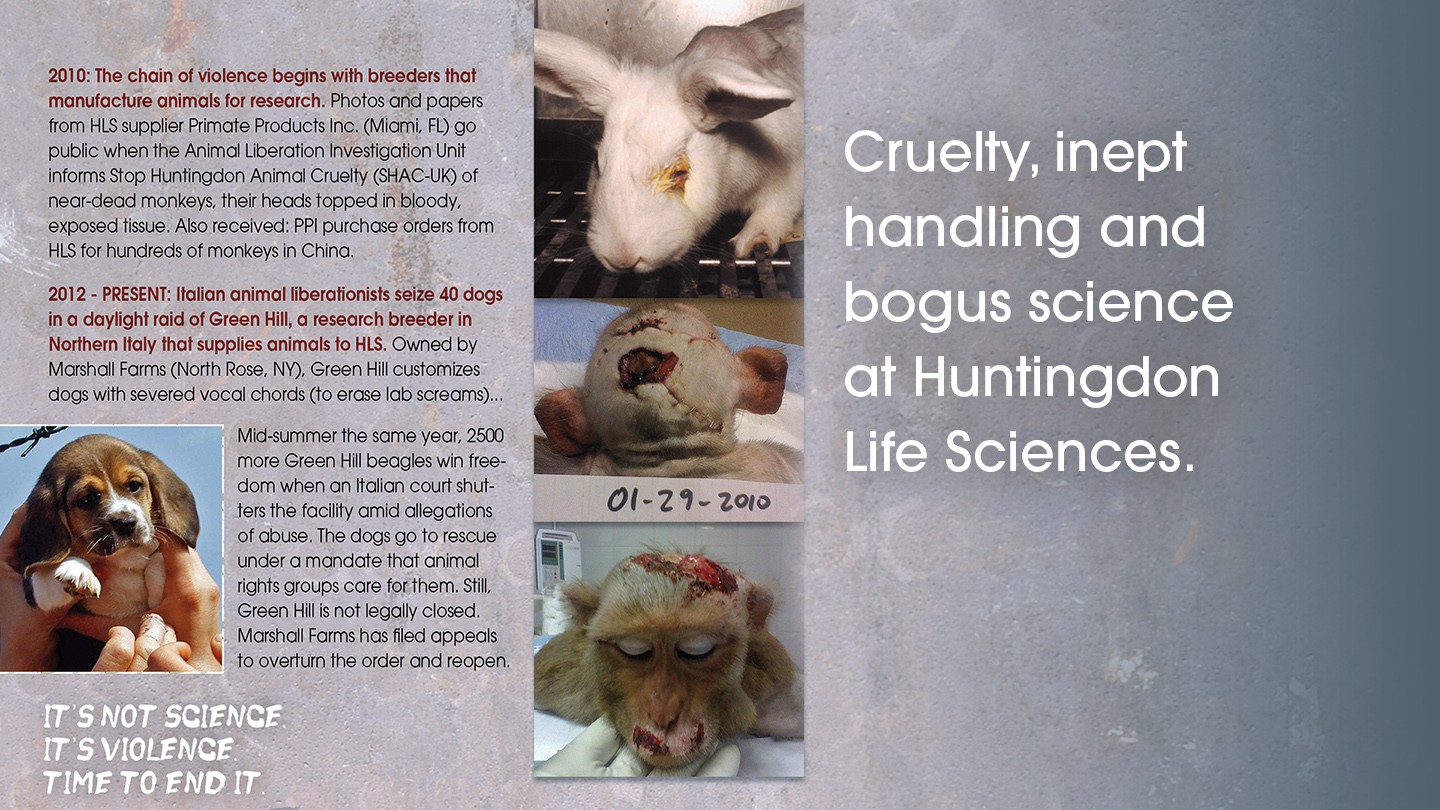 45-hls-Animal-Tests