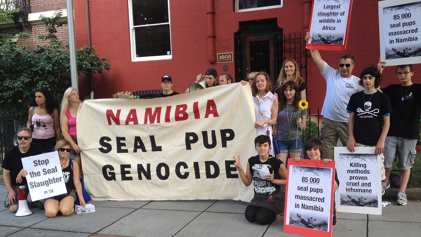 75-Namibia-Seal-Hunt